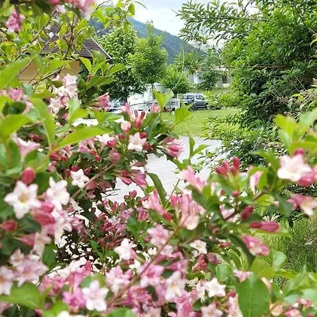 Bella Austria Campingplatz *