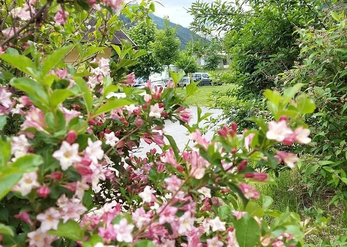 Bella Austria مكان تخييم *